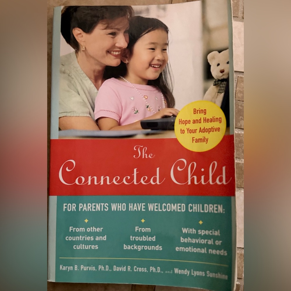 The Connected Child Book - Pink and Teal Cover